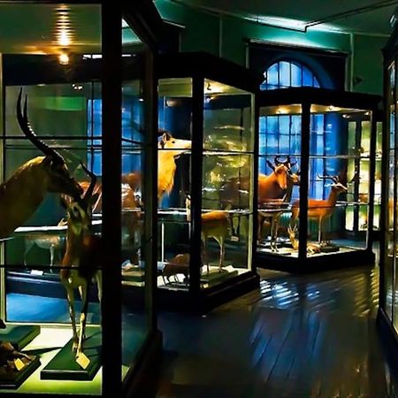 Spacious Historical Art Oasis In The City Center Bergen Ngoại thất bức ảnh